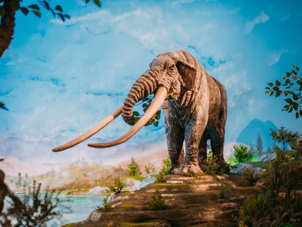 FRANJEVAČKI MUZEJ TOMISLAVGRAD